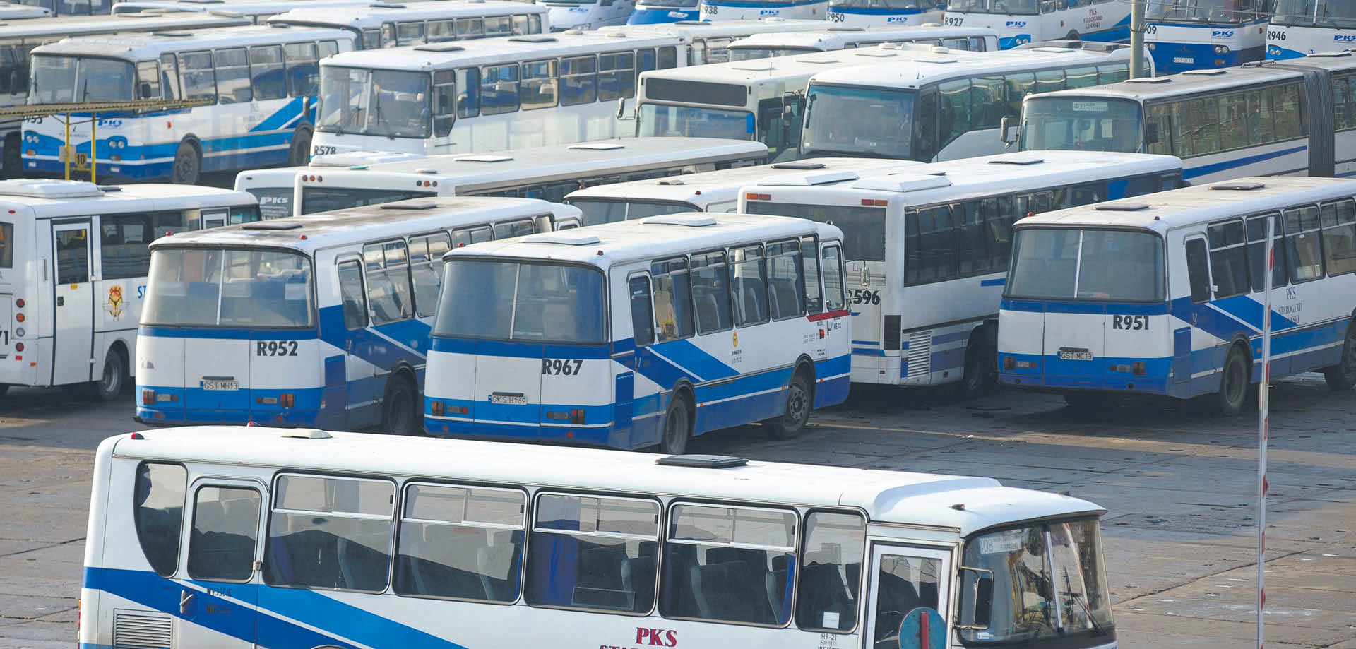 Jak zostać kierowcą autobusu?
