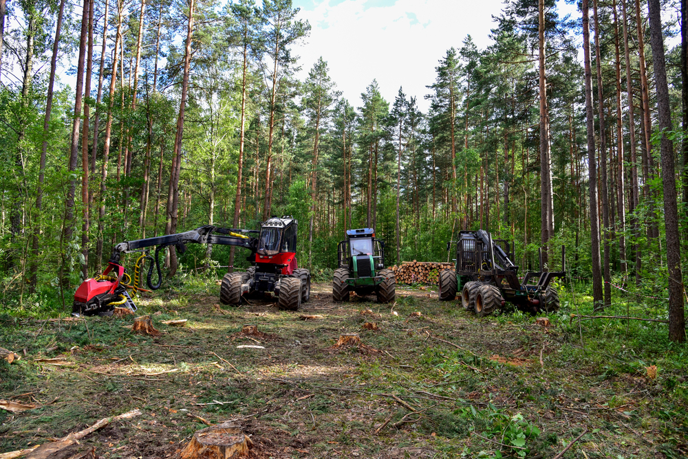 Ukąszenie kleszcza a wypadek przy pracy - jakie obowiązki ma pracodawca?