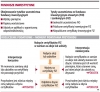 INFOR.pl