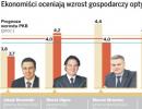 Zobacz, co ekonomiści wieszczą polskiej gospodarce