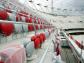 Będzie 10 mln zł kary za Stadion Narodowy
