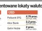 Oszczędzanie w obcej walucie. Wymieniać teraz czy za miesiąc?
