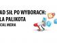 Tęczowy koń wyborów. Palikot wygrał w social media