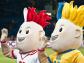 Ostatnie przygotowania do Euro 2012. Pełna gotowość 15 maja
