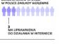 Zaczęło się wielkie polowanie na e-hazard
