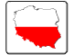 Konstytucja