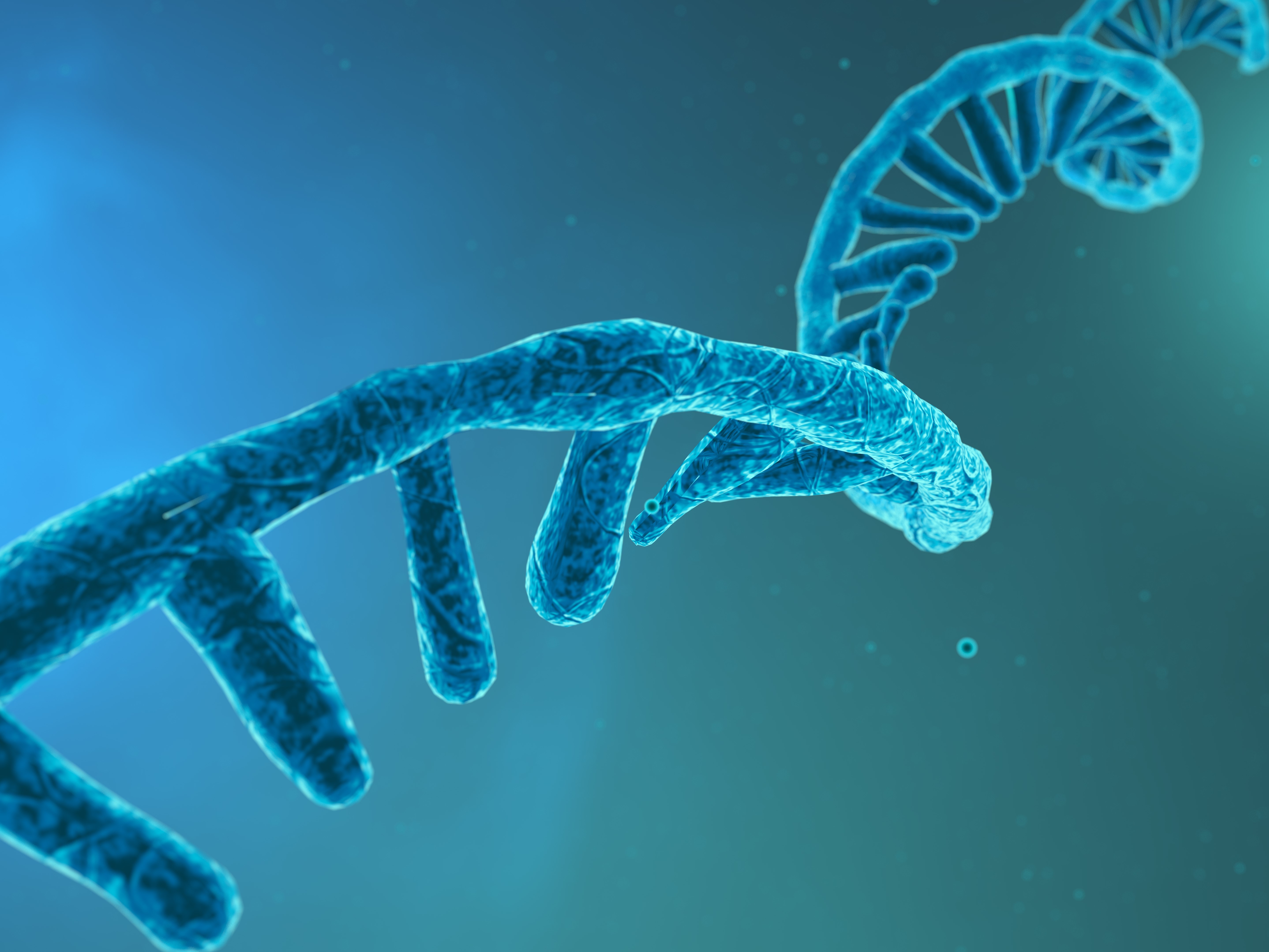 technologia mRNA szczepionki mRNA szczepionka na raka medycyna regeneracyjna choroby rzadkie fenyloketonuria mukowiscydoza Uniwersytet Warszawski Jacek Jemielity nowotwory
