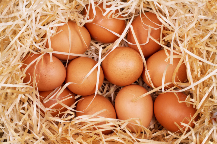 Zdjęcie: Wysoka cena jajek - dlaczego jajka drożeją? - galeria - Agrobiznes  - Infor.pl