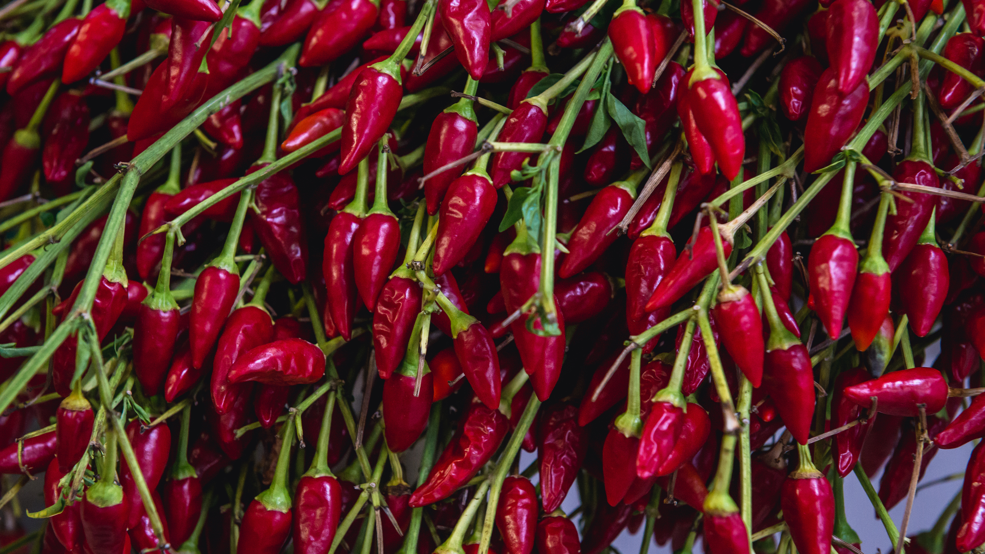 Ostra papryka papryczka papryczki bazar