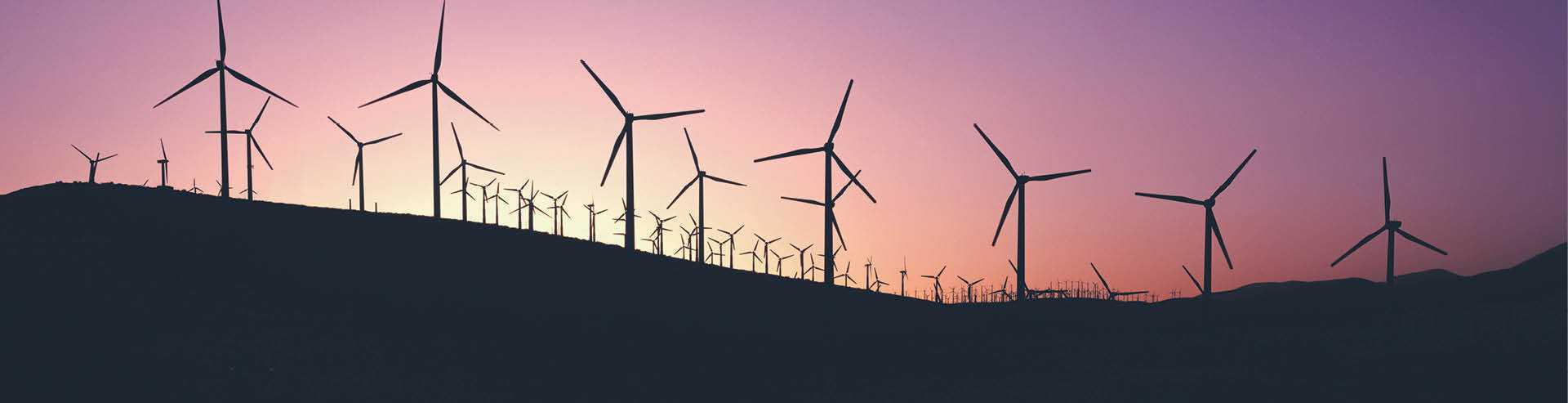 Rynek oczekuje liberalizacji zasad budowy wiatraków na lądzie