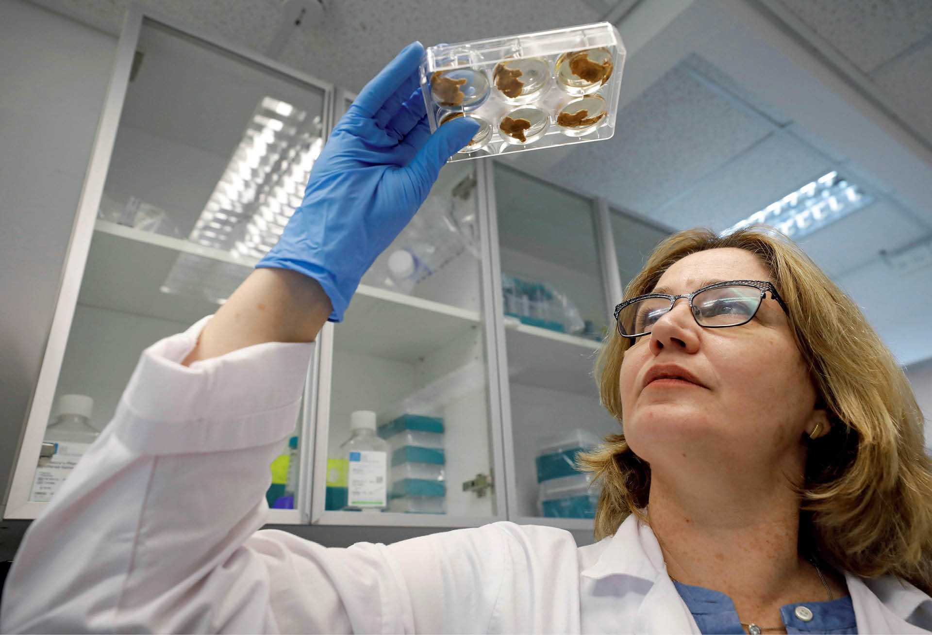 Pracownica laboratorium izraelskiej firmy Aleph Farms przygląda się mięsu z hodowli komórkowej