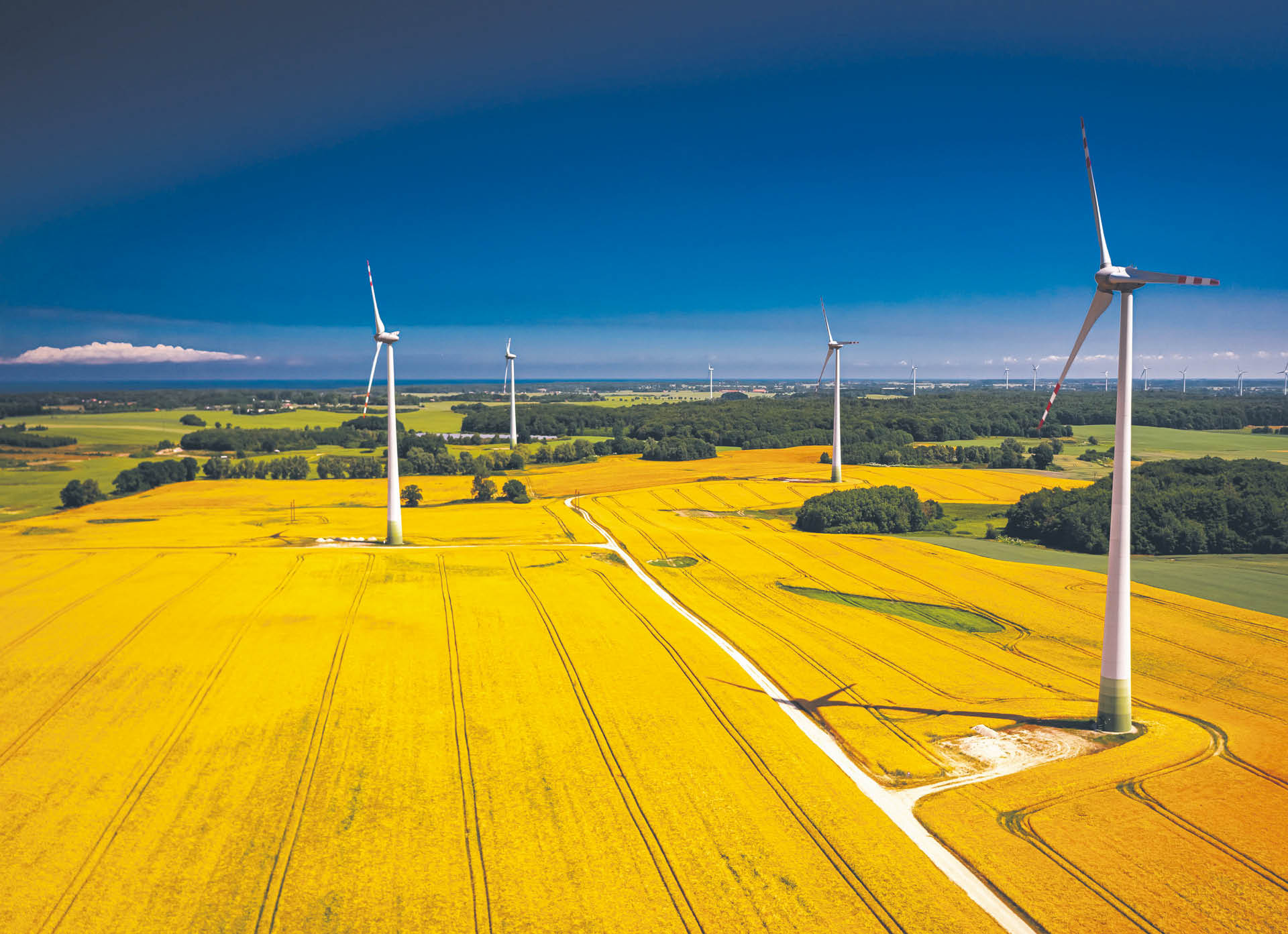 Według Komisji Europejskiej postępowania administracyjne stanowią dziś jedną z głównych barier rozwojowych dla energetyki odnawialnej