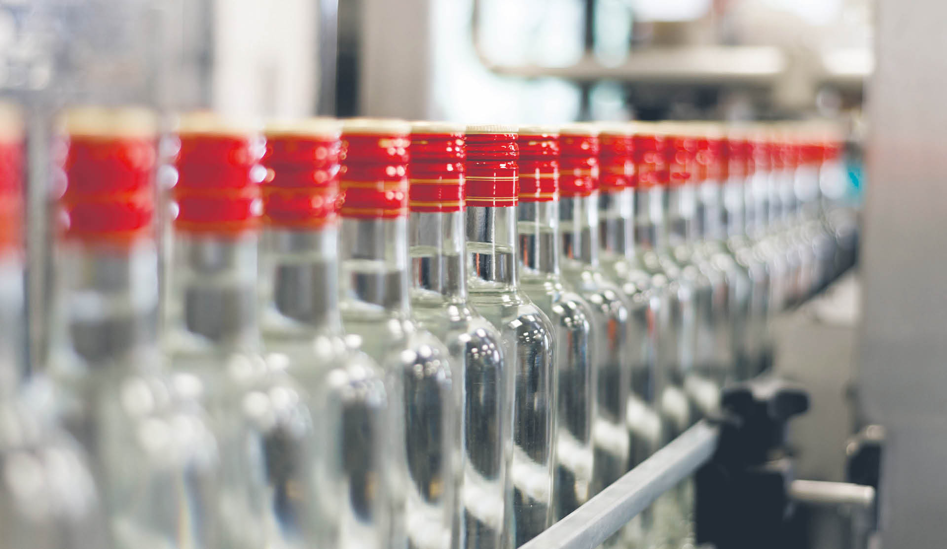 Podatek od małpek na ratunek dzieciom? Rewolucyjna zmiana w walce z przemocą domową