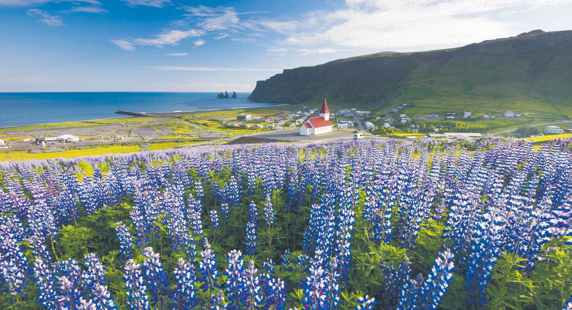 Wioska Vík na południowym wybrzeżu Islandii