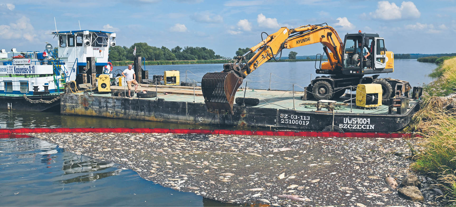 Około 100 t śniętych ryb odłowiono z Odry. Na zdjęciu akcja oczyszczenia rzeki w okolicach Krajnika Dolnego