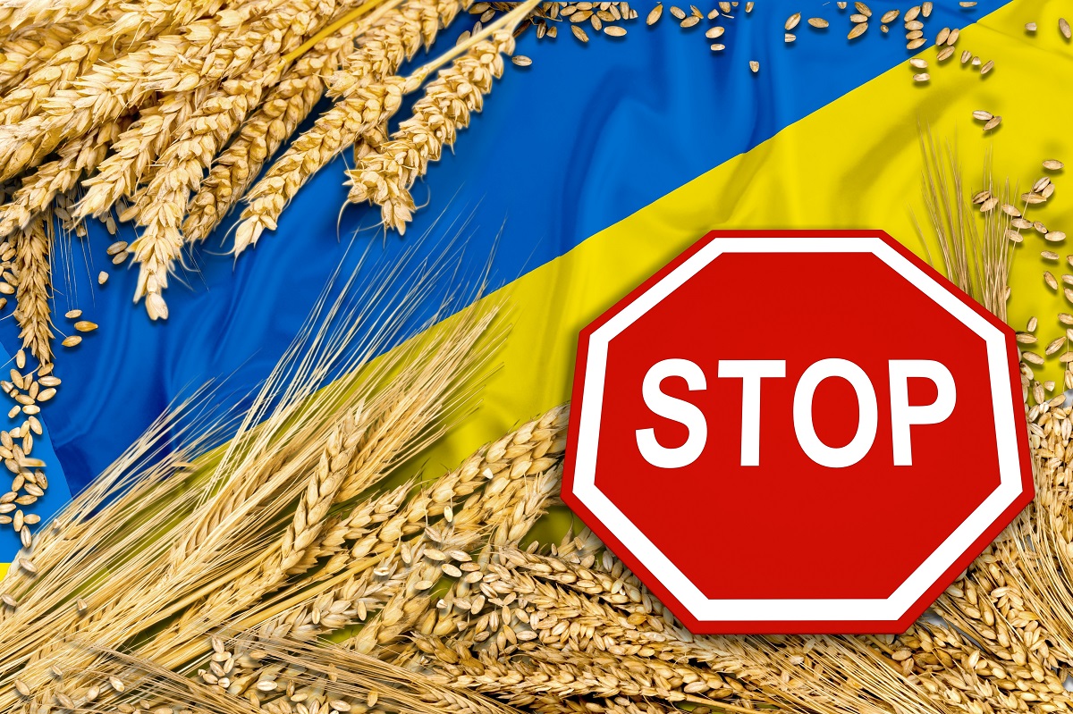 Decyzja Polski o wprowadzeniu embarga na ukraińskie zboże. Co na to Komisja Europejska?