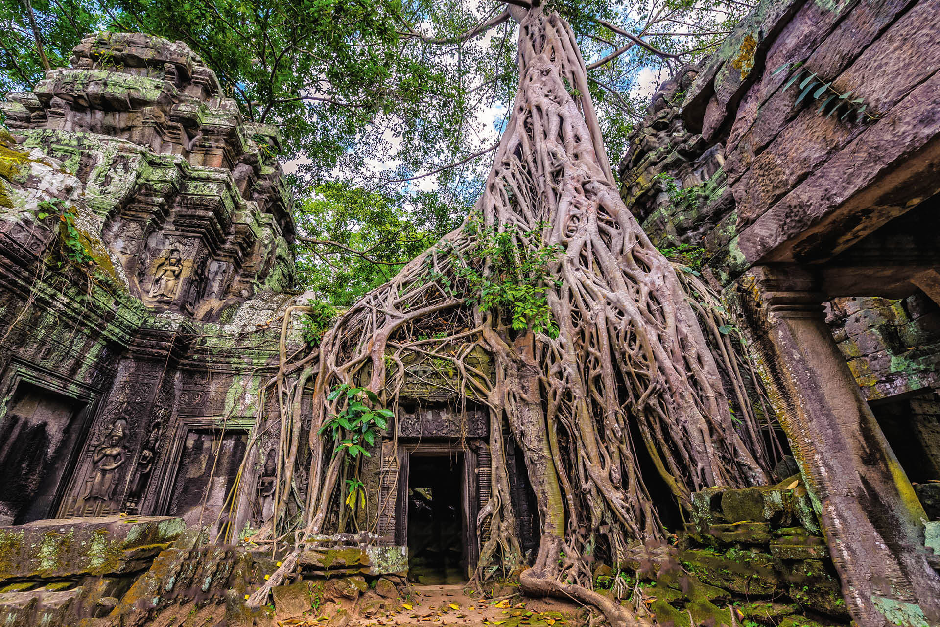 Świątynia Ta Prohm w kompleksie Angkor Wat w Kambodży