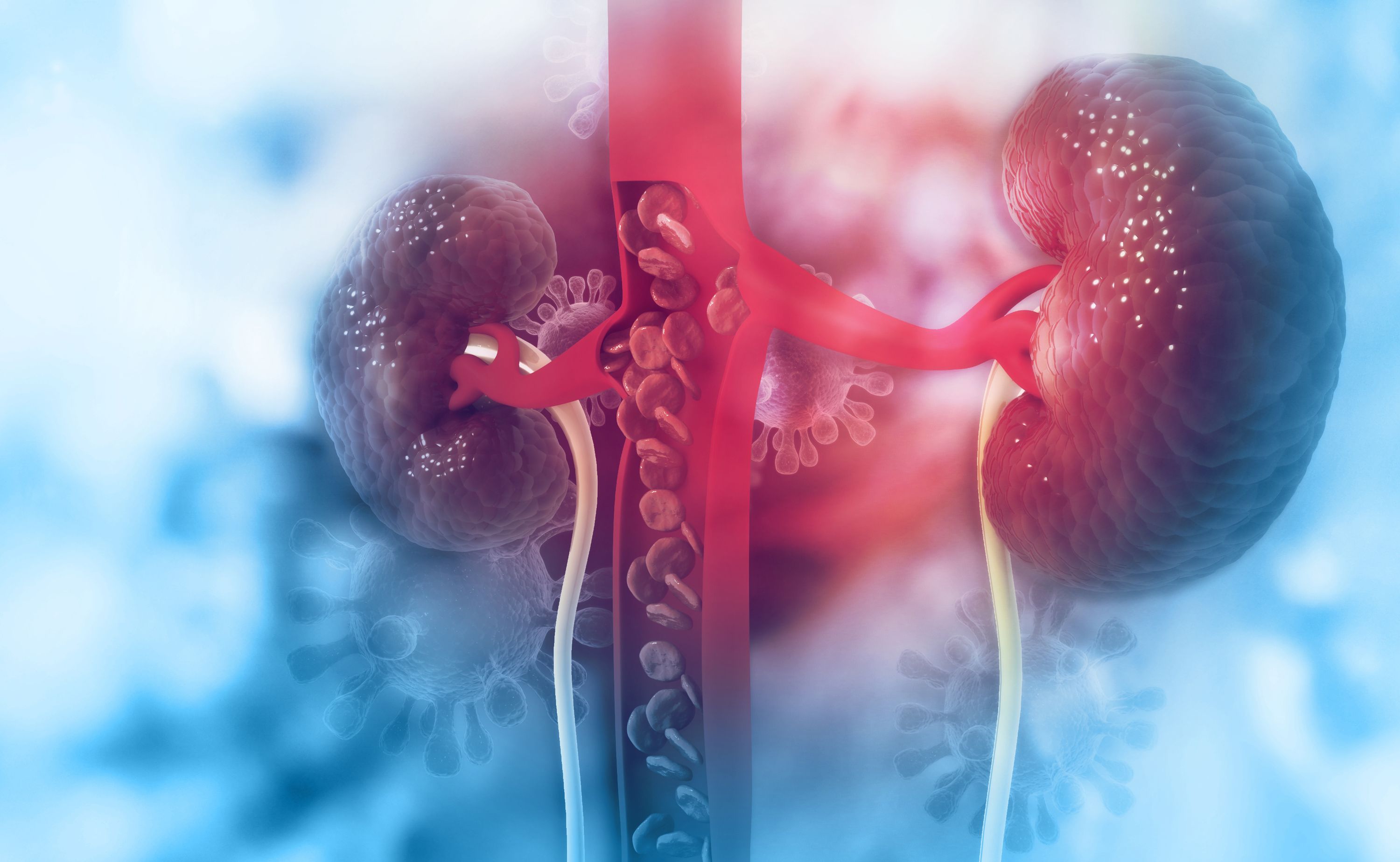 Cicha epidemia chorób nerek. Liczba chorych rośnie szybciej, niż przewidywano