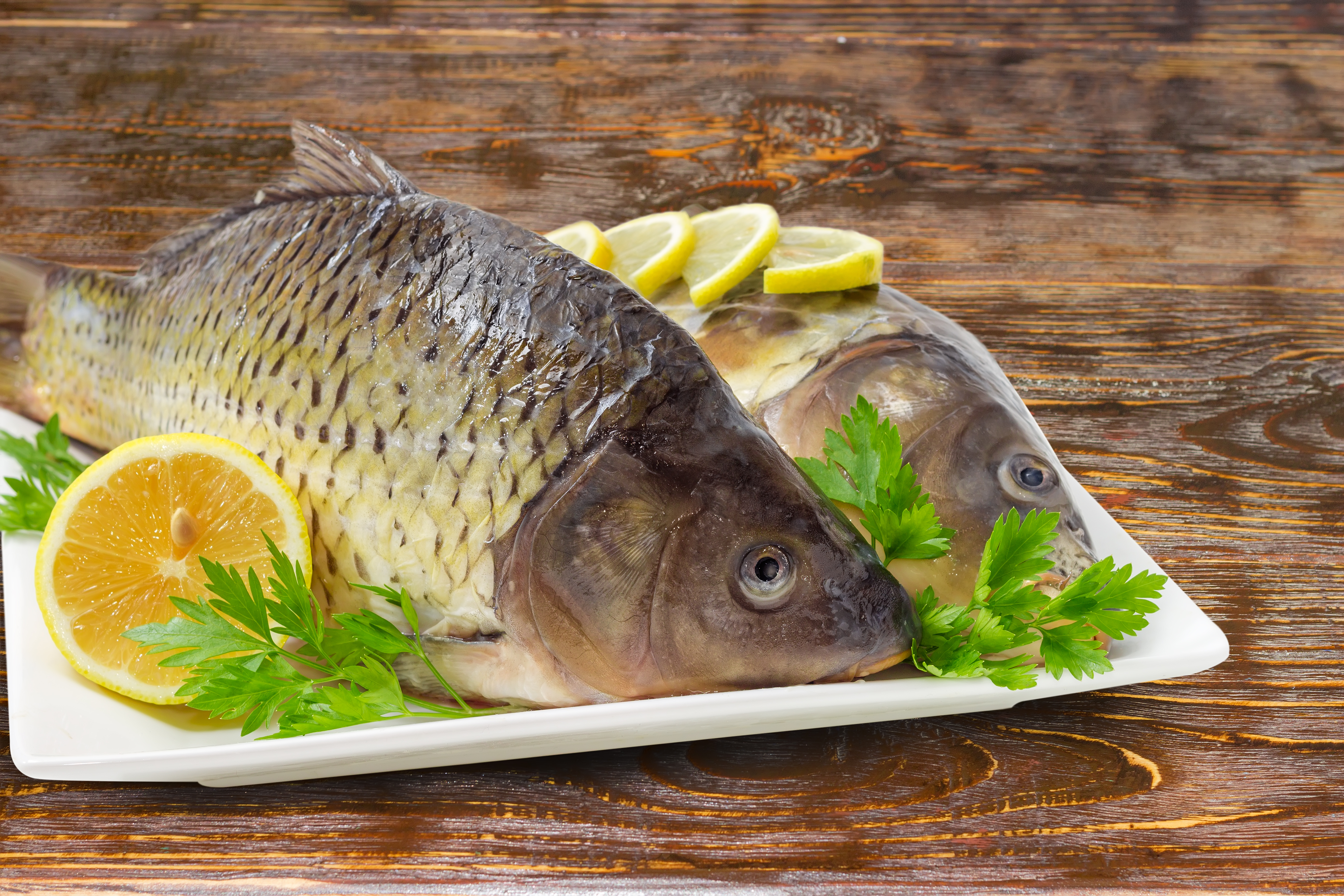 Czy w tym roku na Wigilię obowiązuje zakaz sprzedaży żywego karpia? Czy grożą za to kary? Co mówią przepisy?