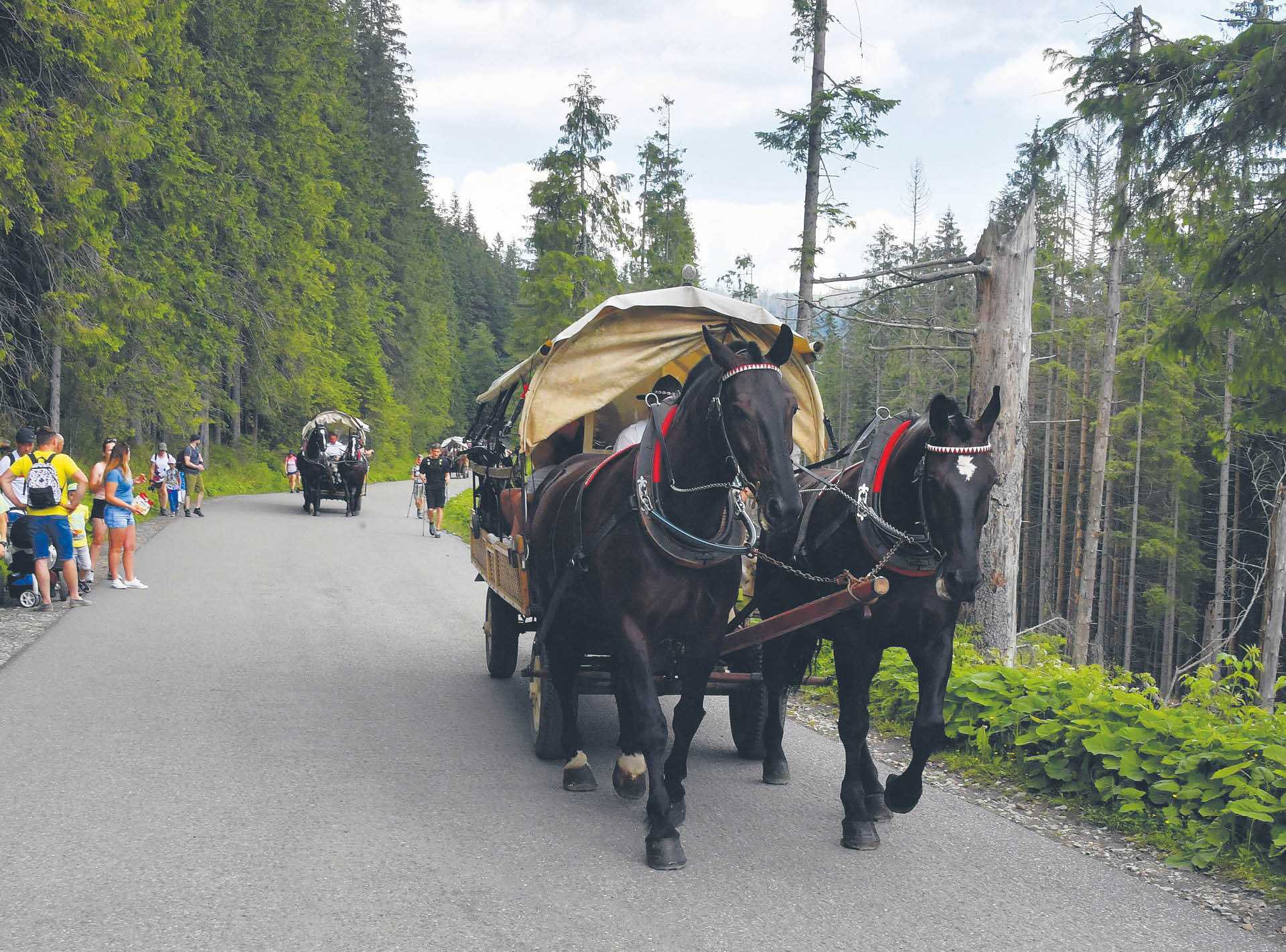 W sprawie fiakrów wożących turystów w Tatrach jest szansa na kompromis