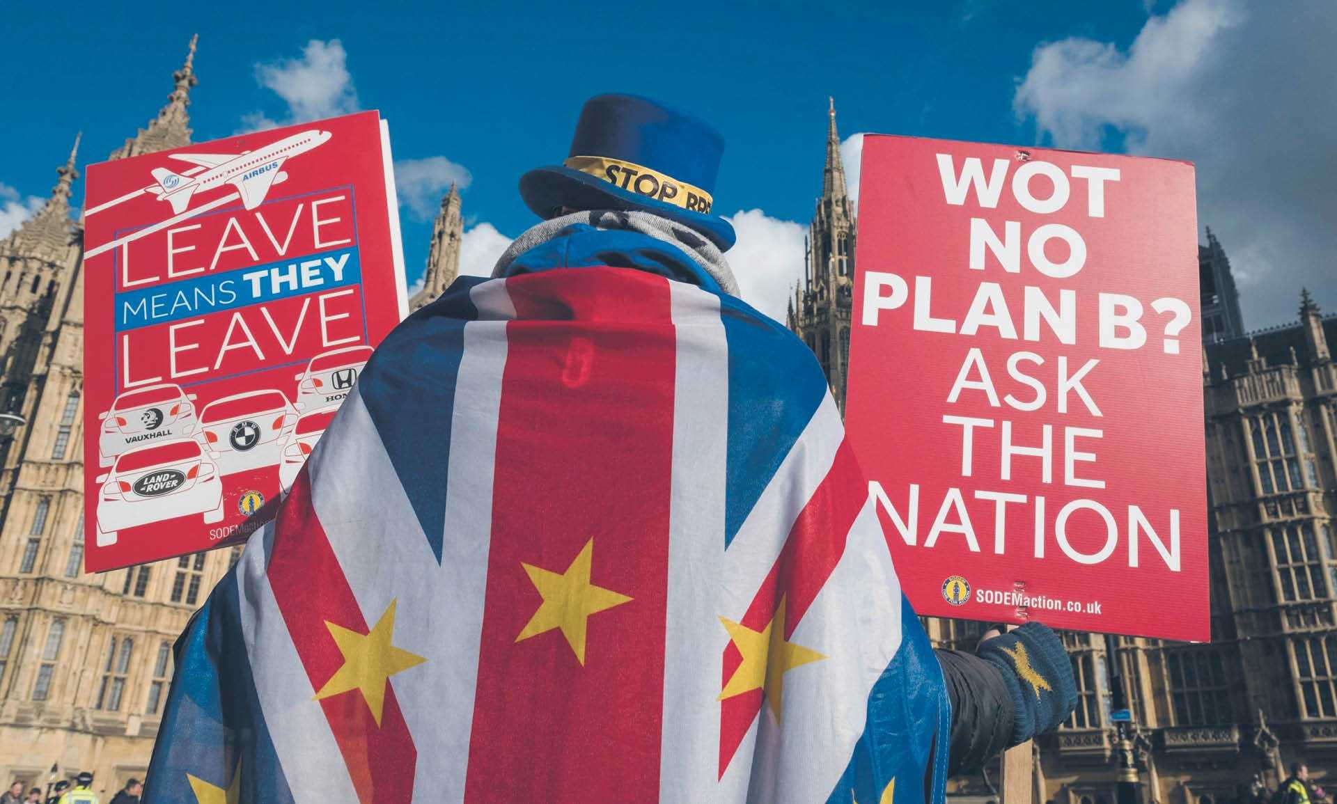 Demonstracje zwolenników i przeciwników brexitu przed gmachem parlamentu. Londyn, 30 stycznia 2019 r.