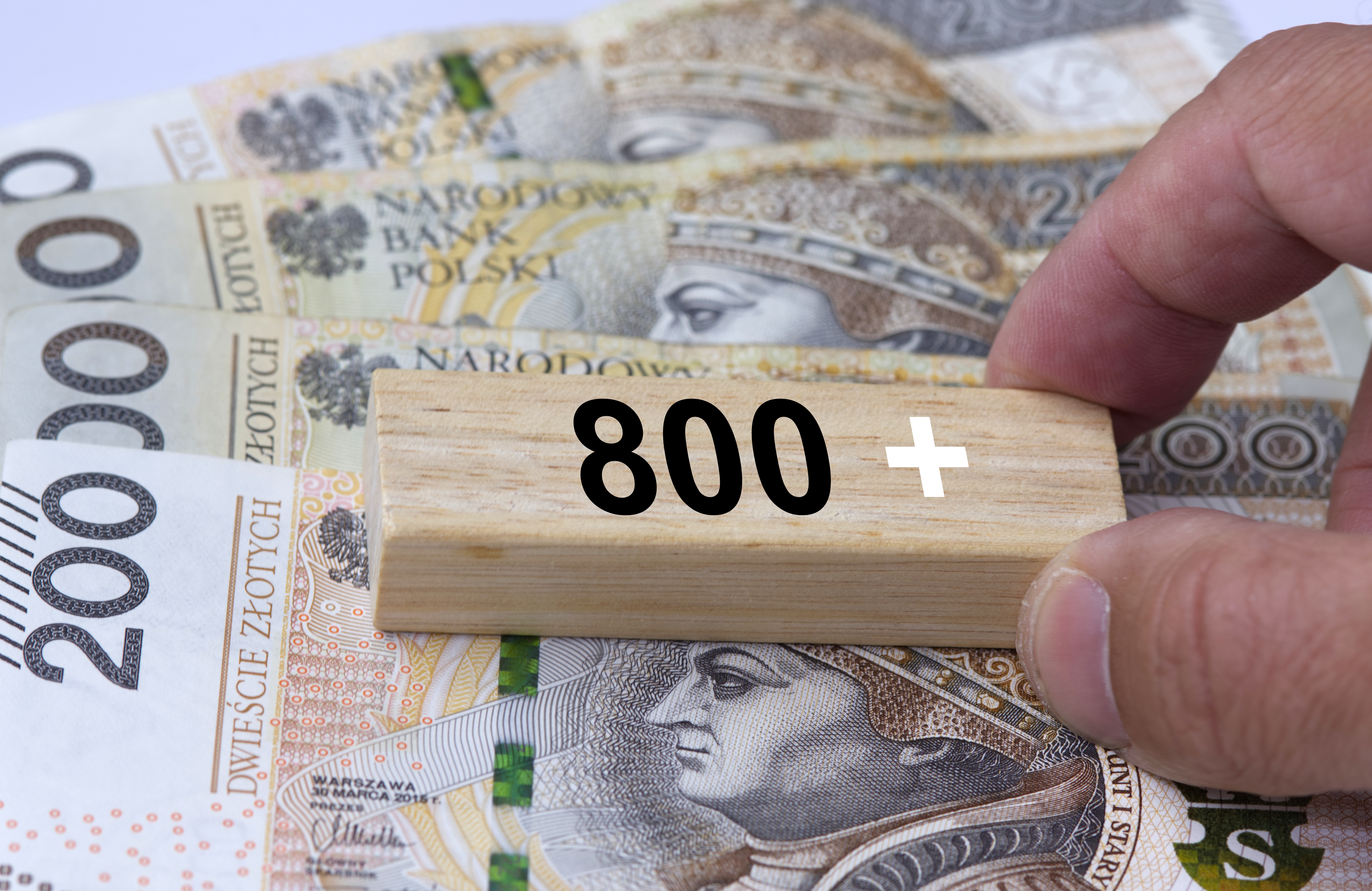 Trwa nabór wniosków o 800 plus! Sprawdź, jak nie stracić ciągłości wypłaty