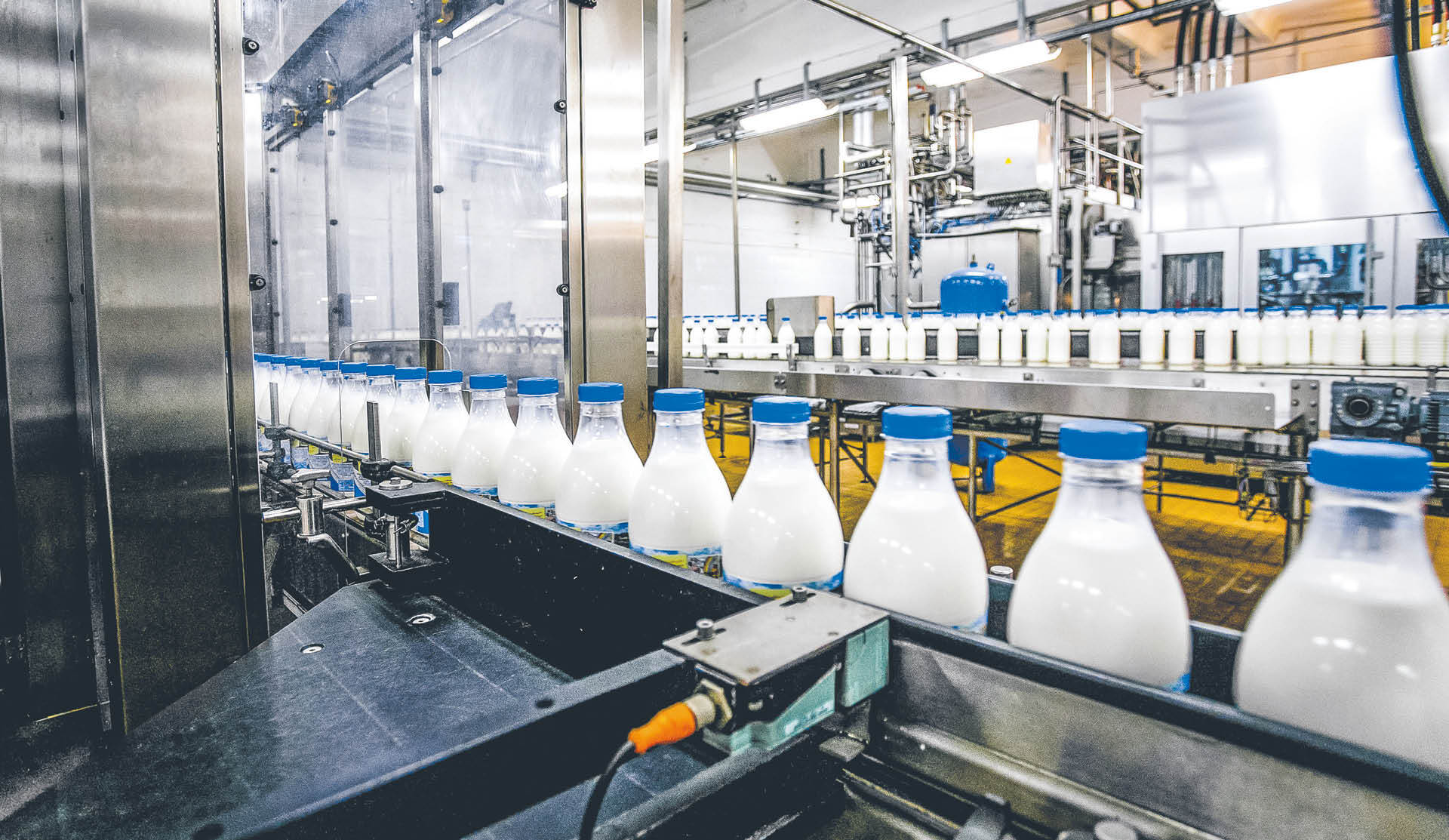 Krajowi producenci często sprowadzają mleko z zagranicy
