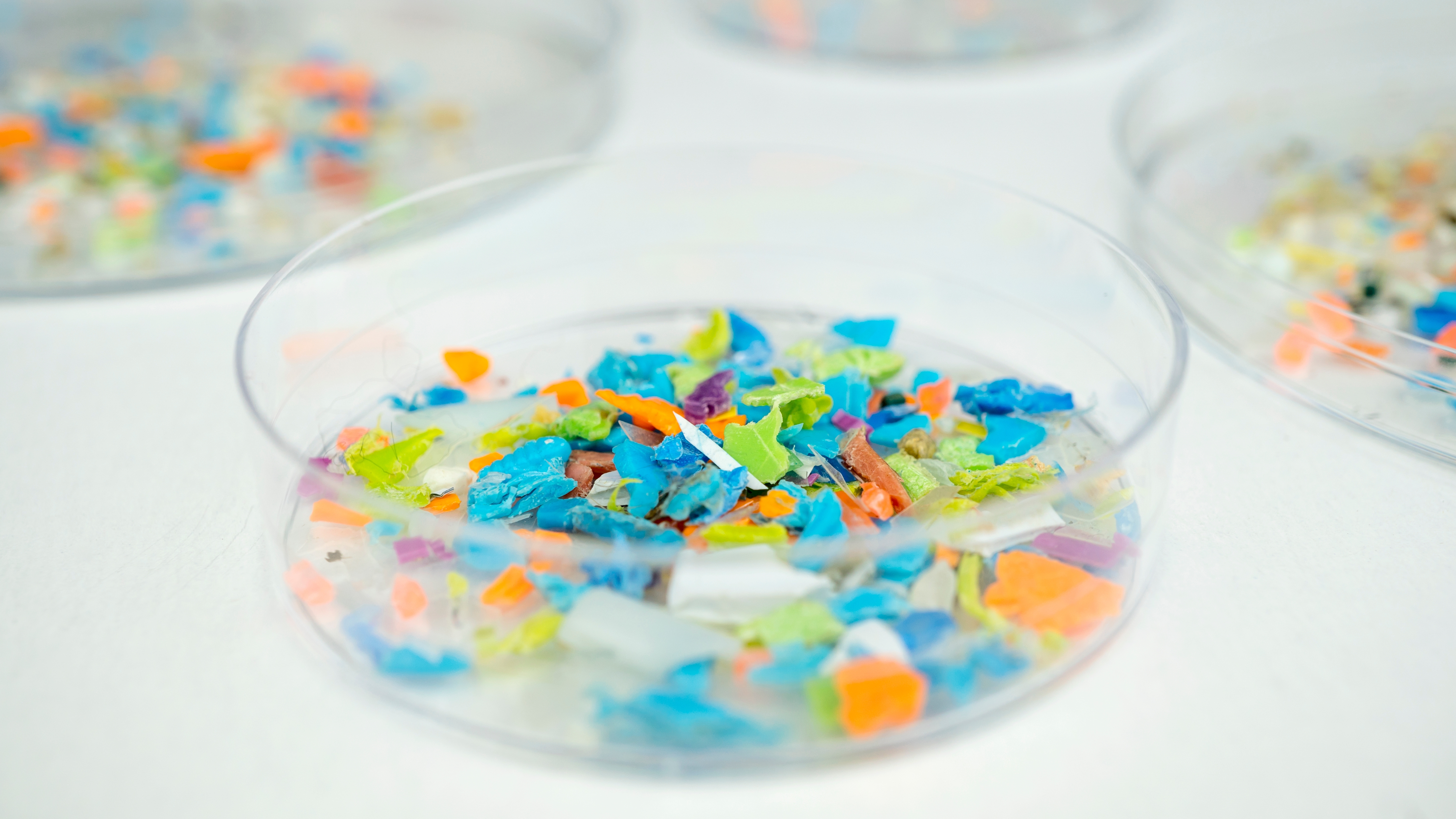 Mikroplastik może zaburzać florę jelitową. Nowe badania wskazują na możliwy związek z depresją i rakiem jelita