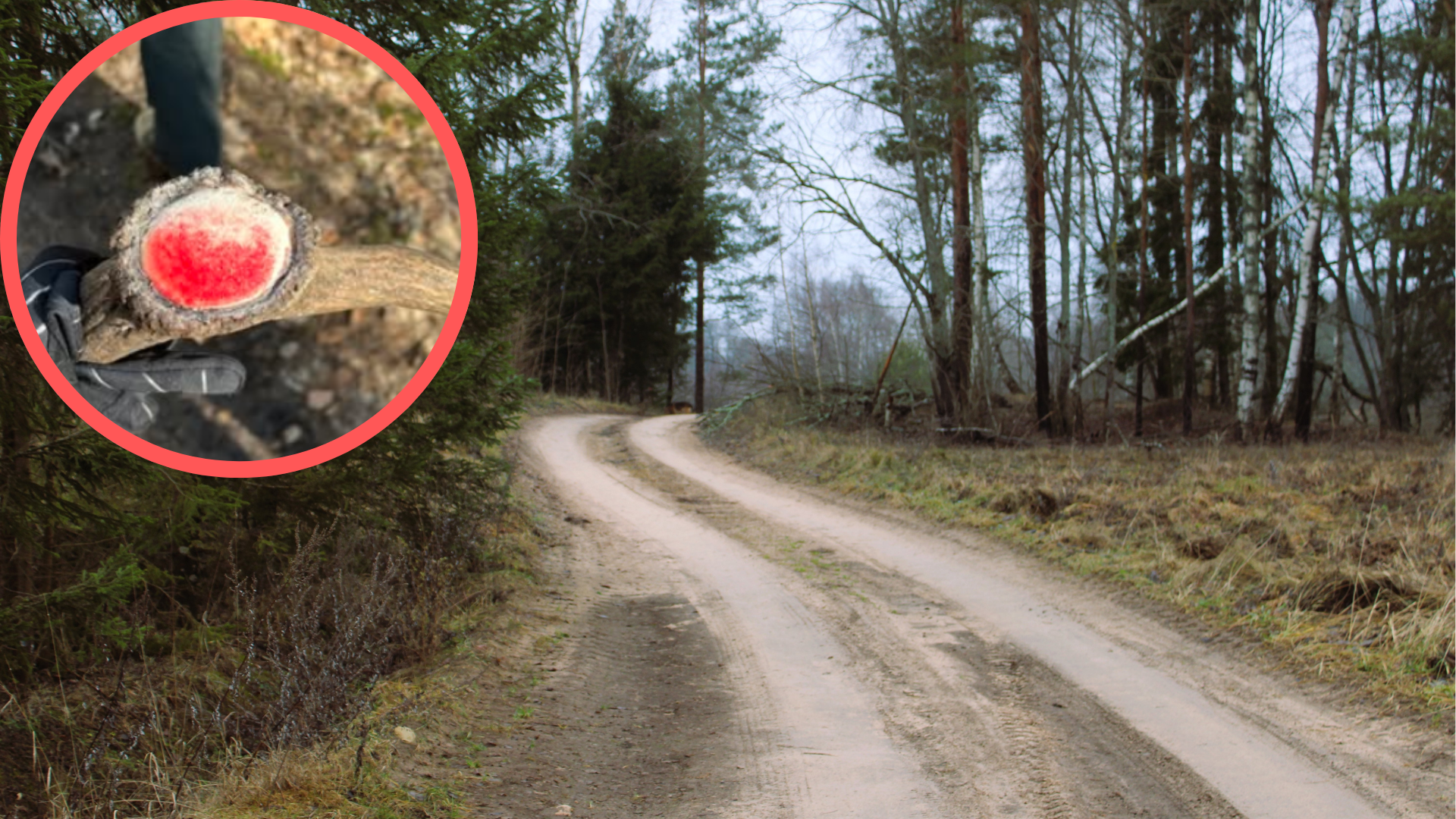 Zaostrzą kary, a choćby zrobią z tego przestępstwo - teraz to tylko wykroczenie zagrożone mandatem 500 zł