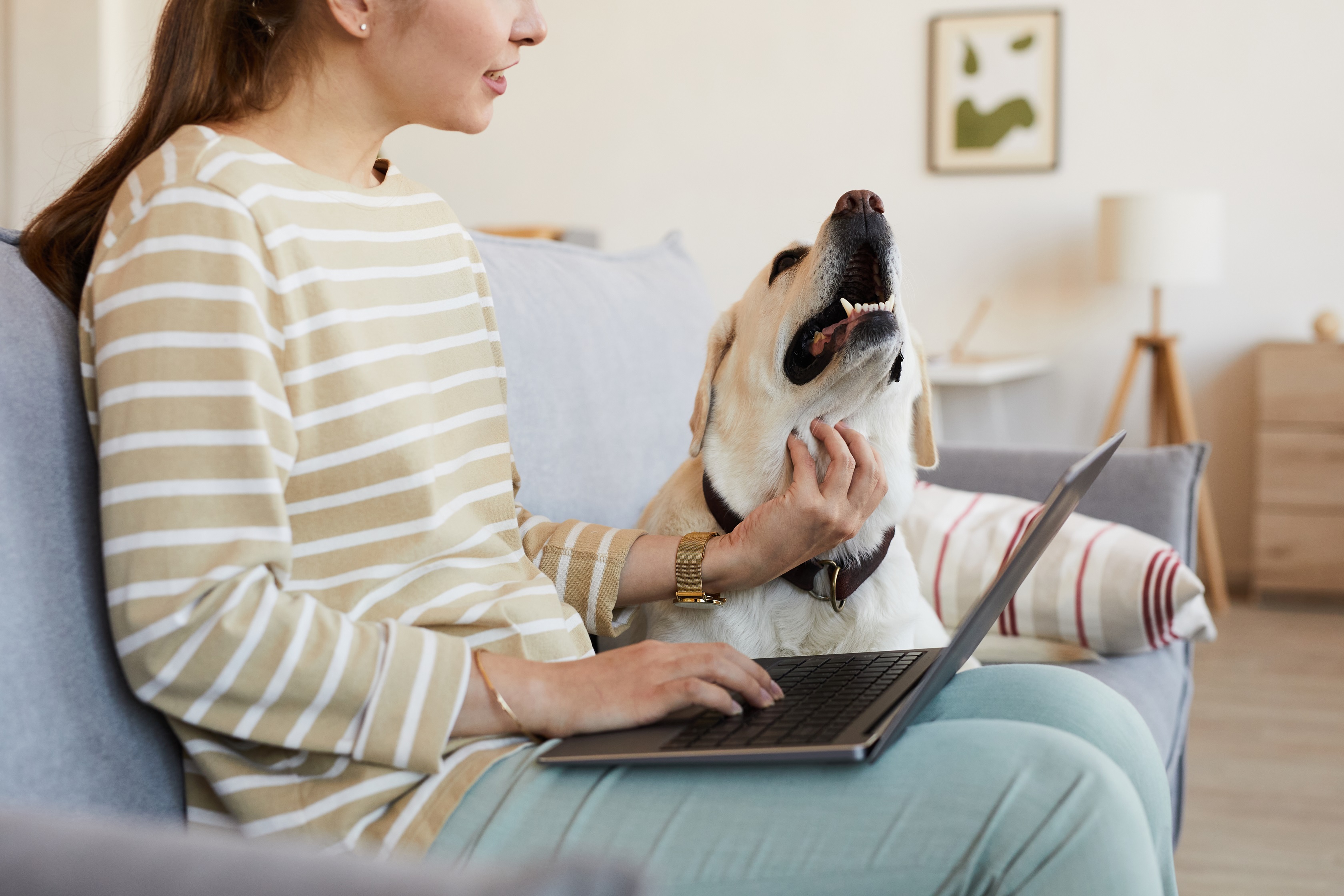 laptop dziewczyna kobieta