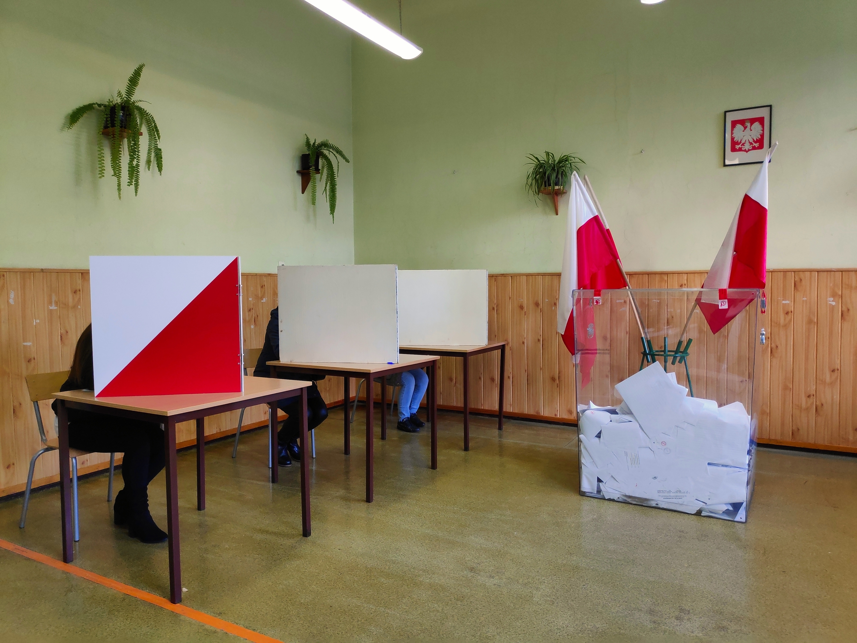 Jak wygląda karta do głosowania? [Druga tura wyborów Prezydenta RP 2025]