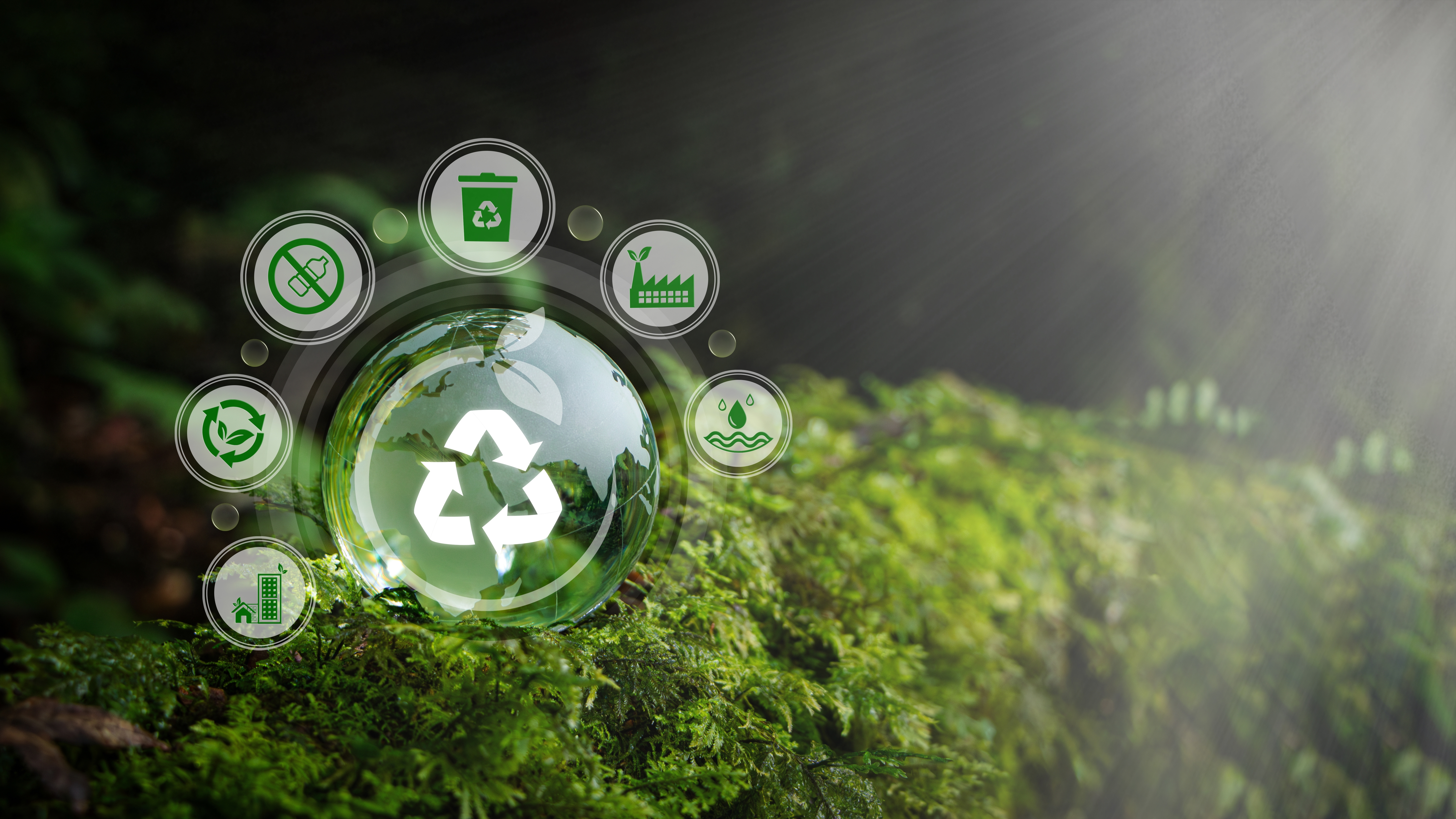 Aerozolowa pułapka: jak jeden dezodorant może kosztować Cię 500 zł