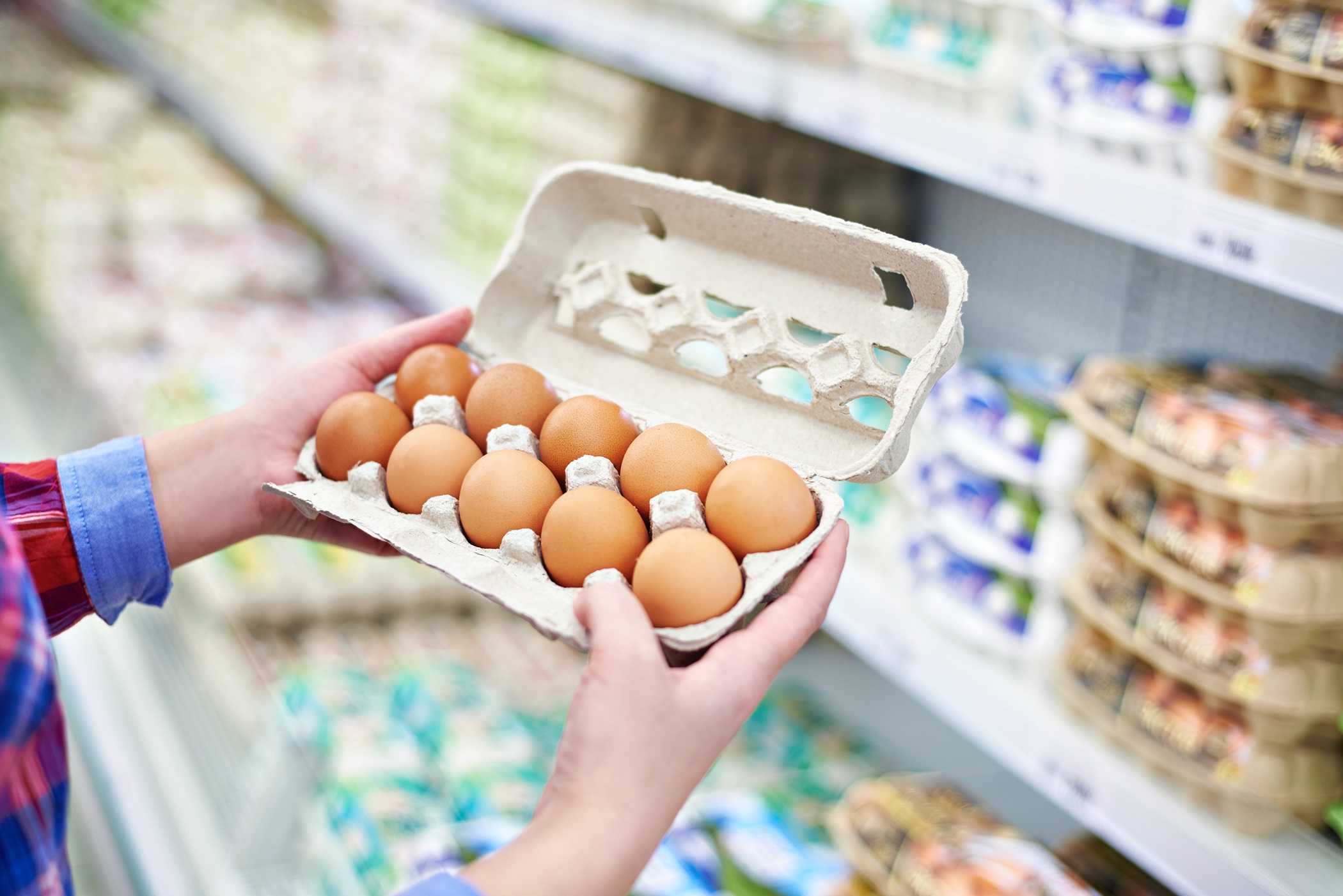 Ostrzeżenie GIS: bakterie Salmonella na skorupkach jaj.