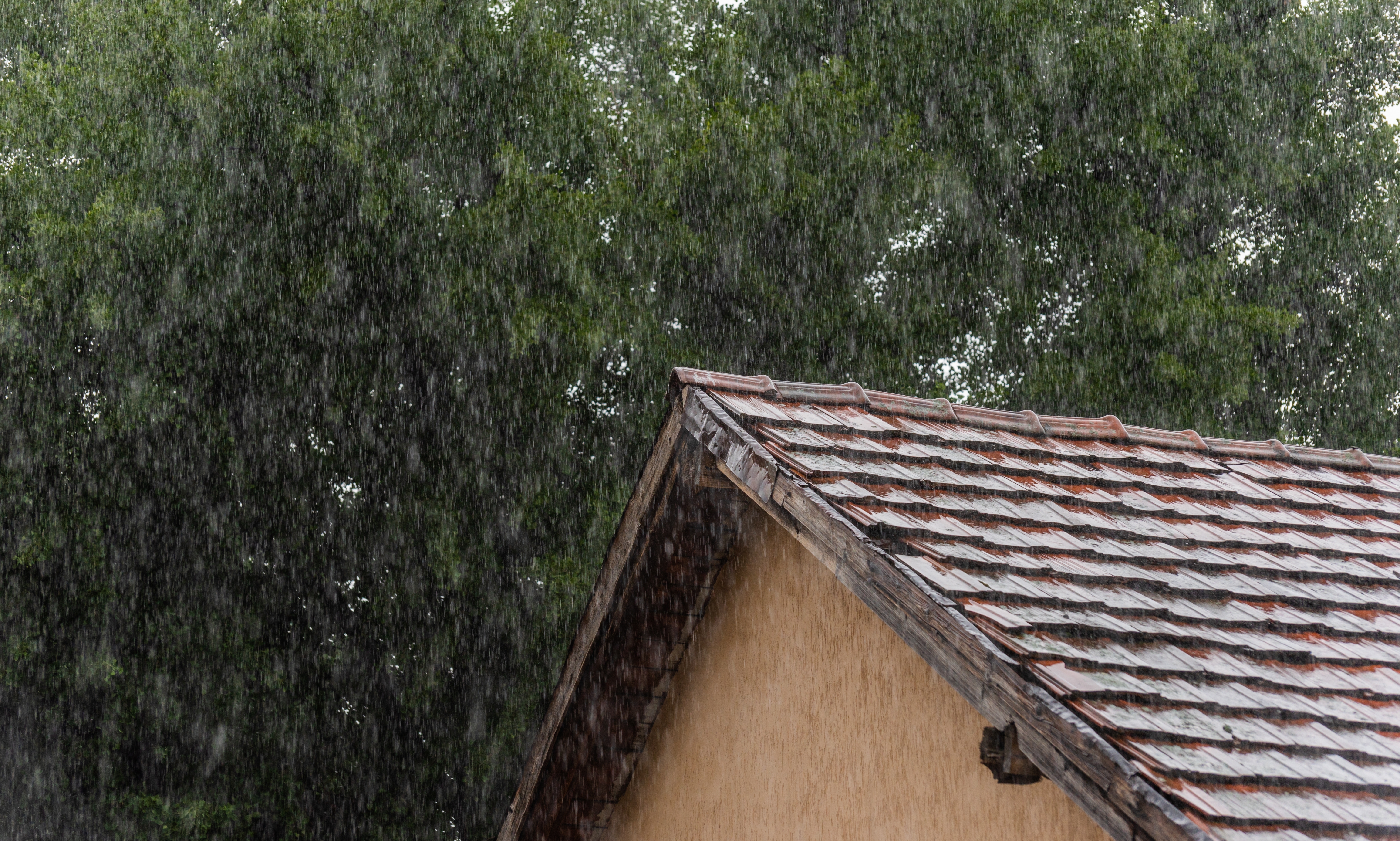 Intensywne opady deszczu uszczuplą portfele wielu właścicieli nieruchomości o choćby 10 tys. zł. Kontrolerzy nie będą mieli litości dla Polaków