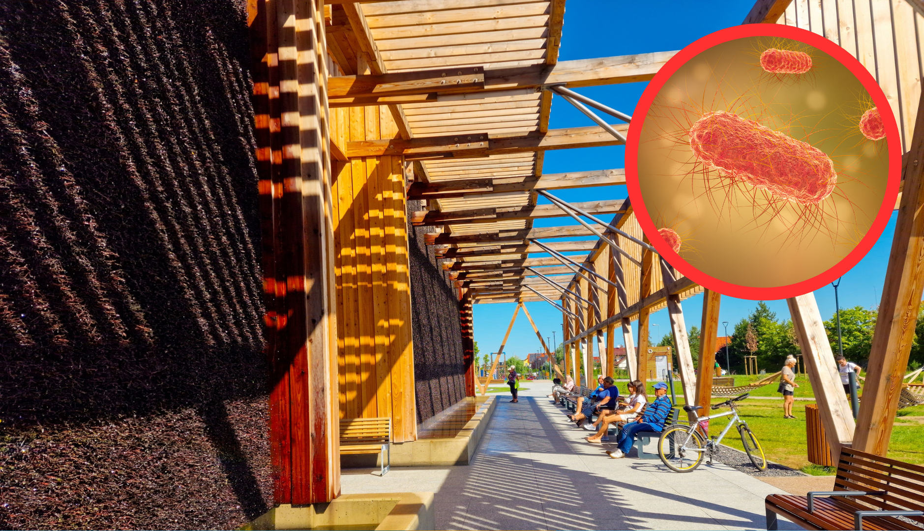 Popularne tężnie solankowe niebezpieczne dla zdrowia – groźne bakterie, grzyby, promieniowce i gronkowce wykryte w wodzie solankowej i problem braku norm czystości „leczniczej mgiełki”