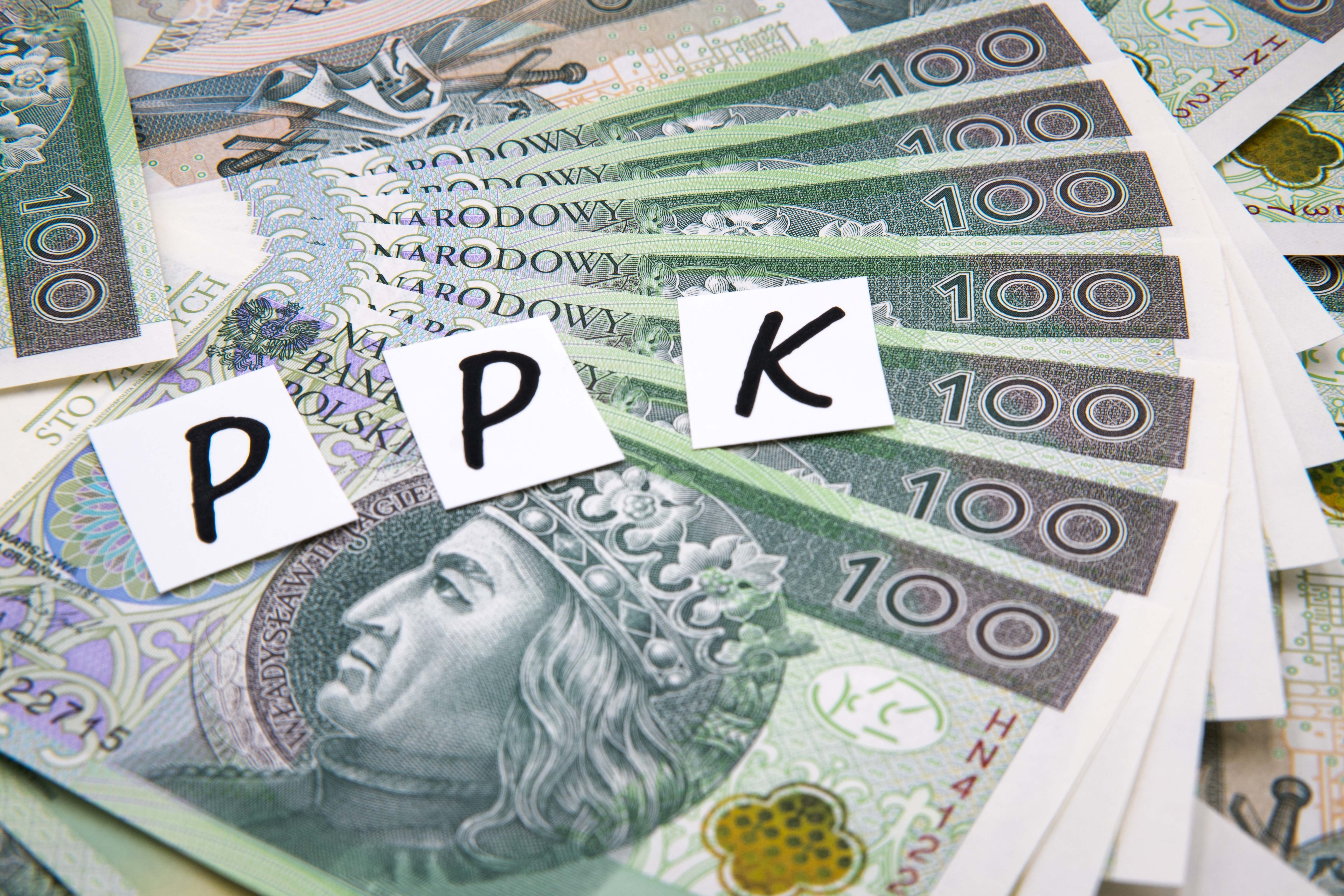 Wysokość minimalnego wynagrodzenia po 1 stycznia 2026 r. a wpływ na Pracownicze Plany Kapitałowe (PPK)