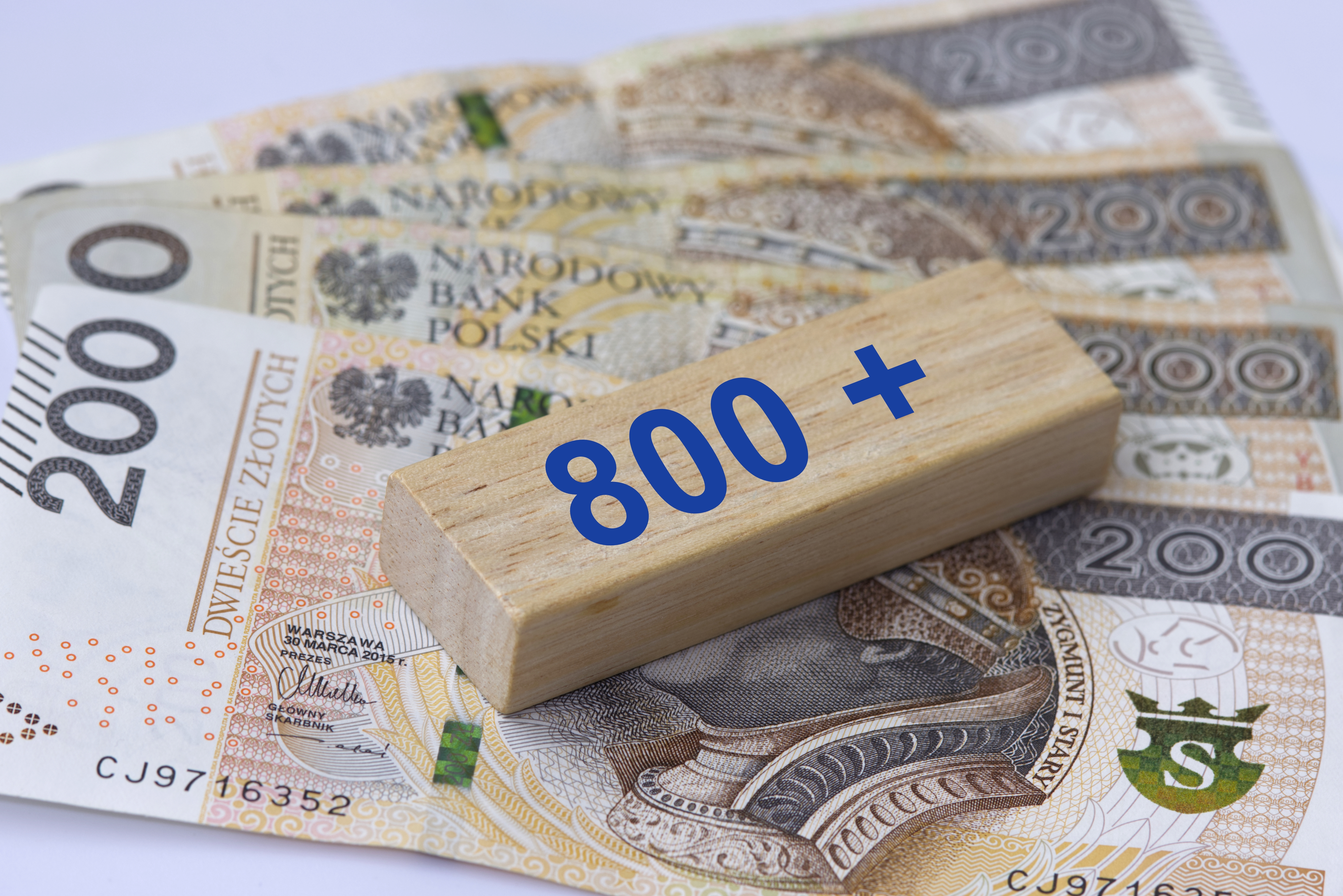 800 plus dla seniorów czy choćby 50. latków: za każde wychowane i pracujące dziecko, które płaci podatki w Polsce. Czy wejdzie?