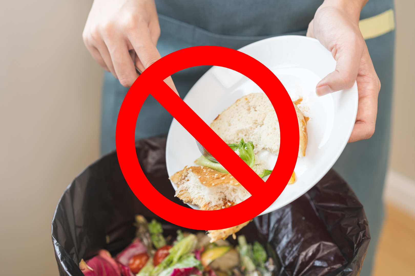 Koniec z wyrzucaniem do worków na śmieci resztek spożywczych, nabiału i ręczników papierowych. Zmiany w zasadach segregacji odpadów od 29 września 2025 r.