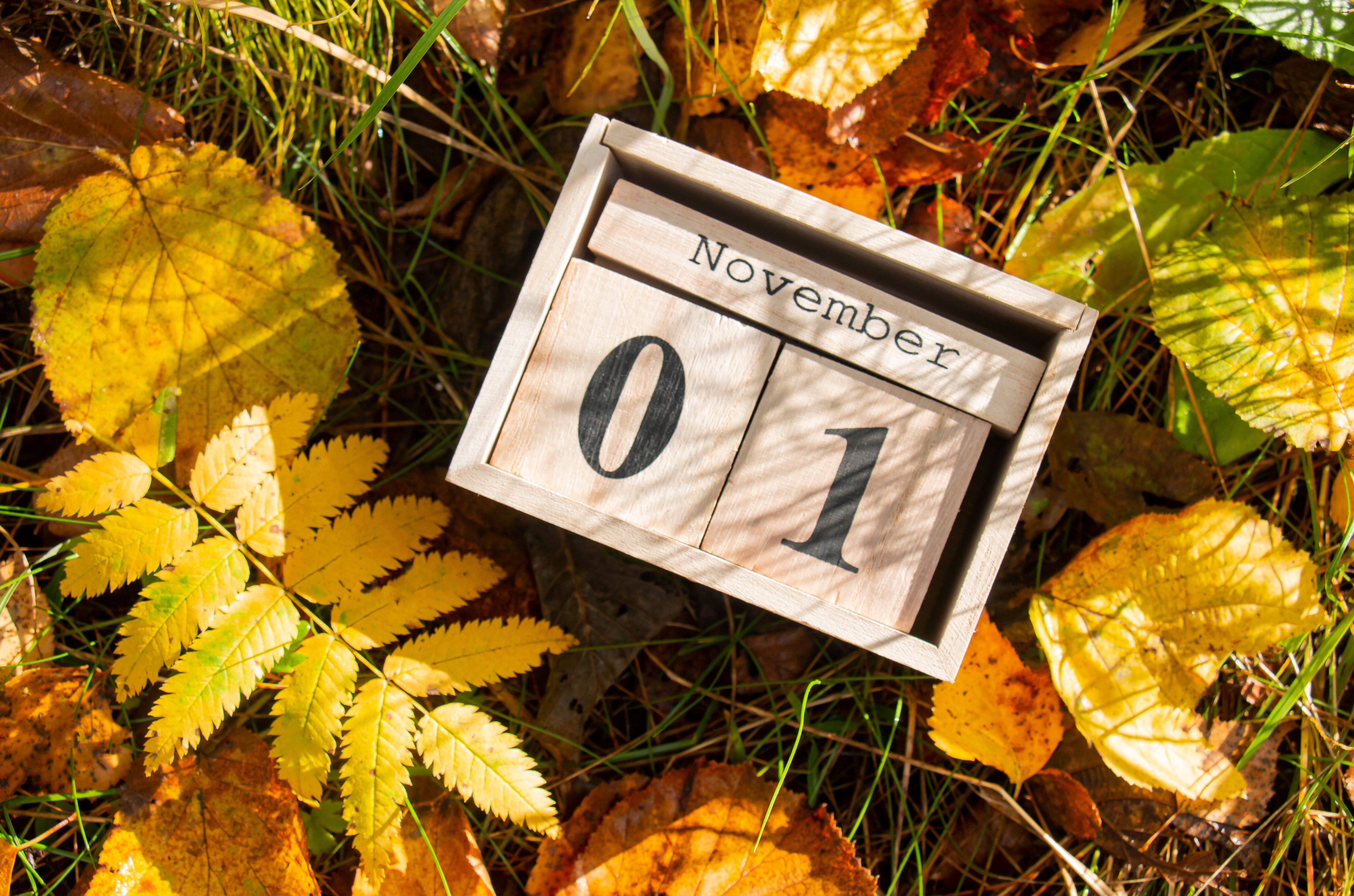 Od 1 listopada 2025 r. nowe zasady dla osób z niepełnosprawnościami, seniorów, czy kobiet w ciąży w OZZ