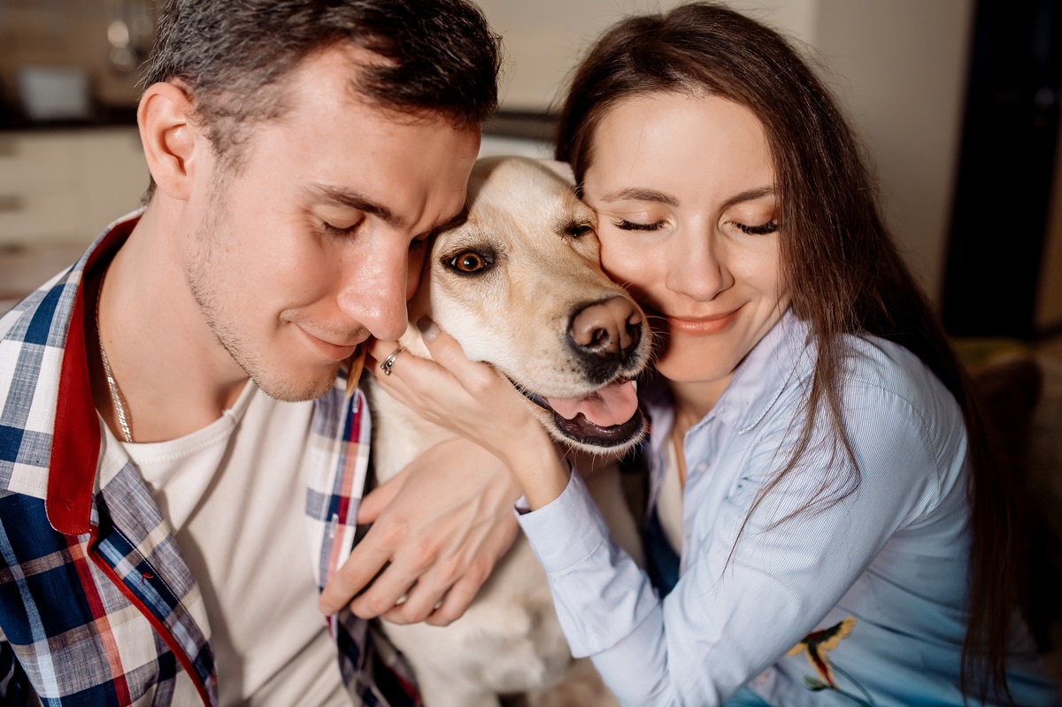 Odszkodowanie za zgubione zwierzę jak za bagaż. Linie lotnicze nie muszą płacić więcej, jeżeli nie złożysz tej deklaracji