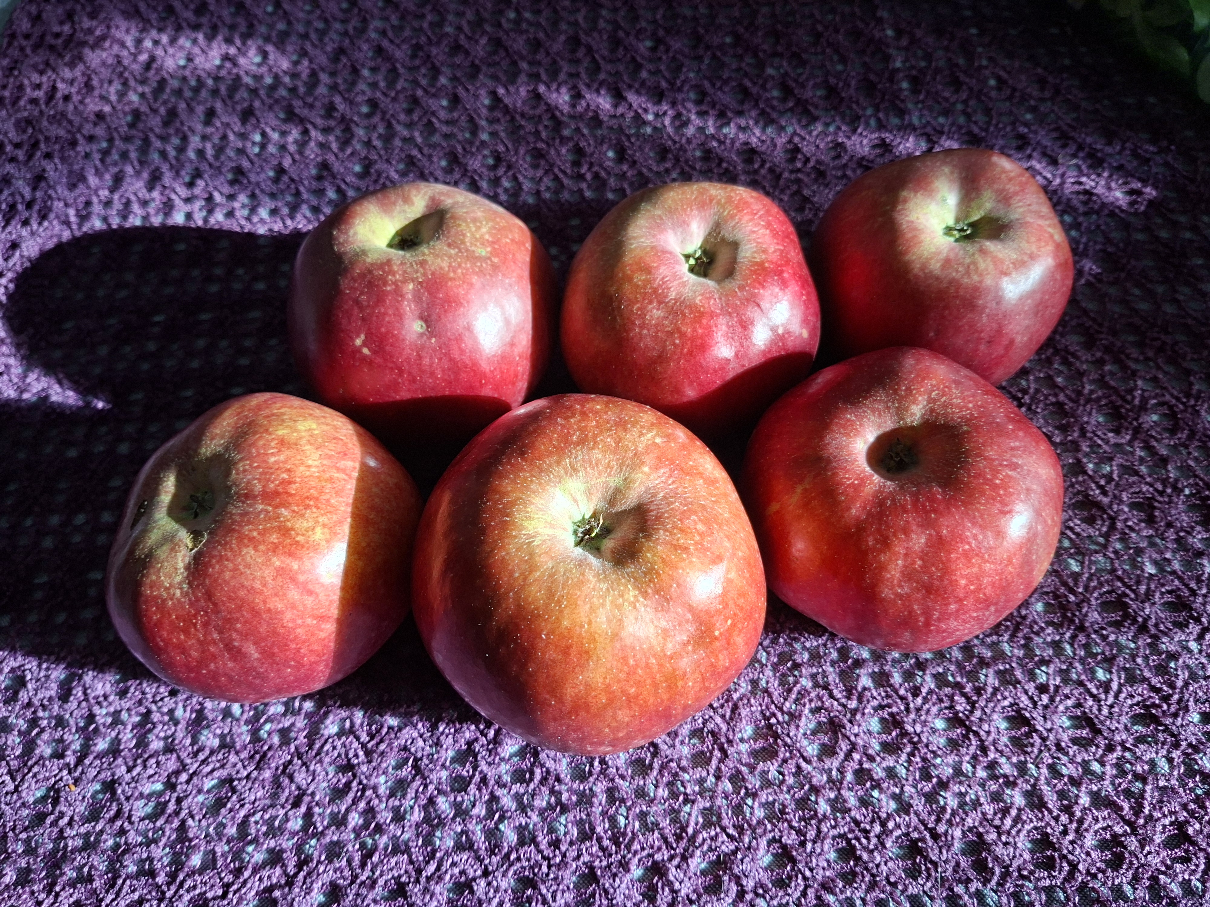 Polskie jabłka na Łotwie… a w Białorusi? Spór podatkowy trafia aż do TSUE