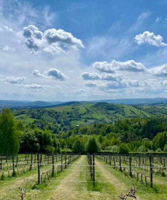 marma, folie, producent