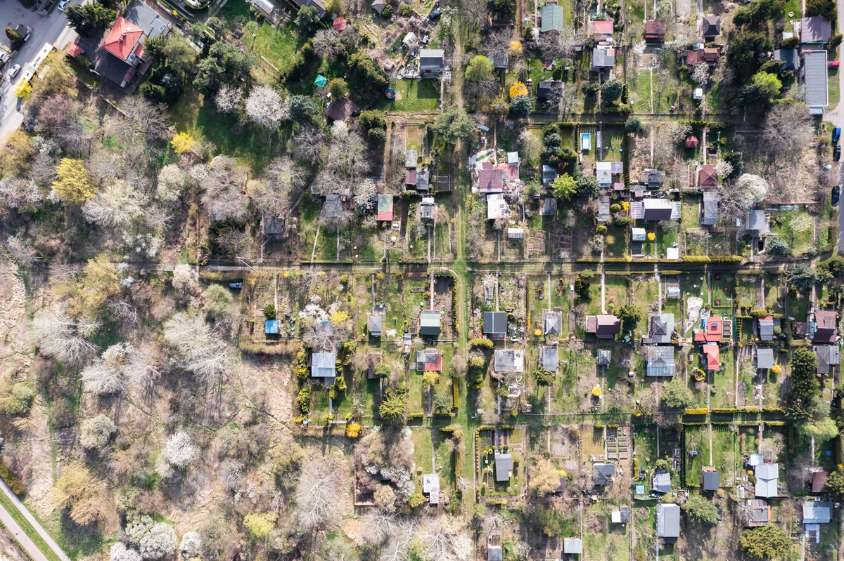 Czy warzywa i owoce zrywane z działek usytuowanych w mieście są zdrowe? Badania pestycydów i metali ciężkich na ogrodach działkowych w Warszawie