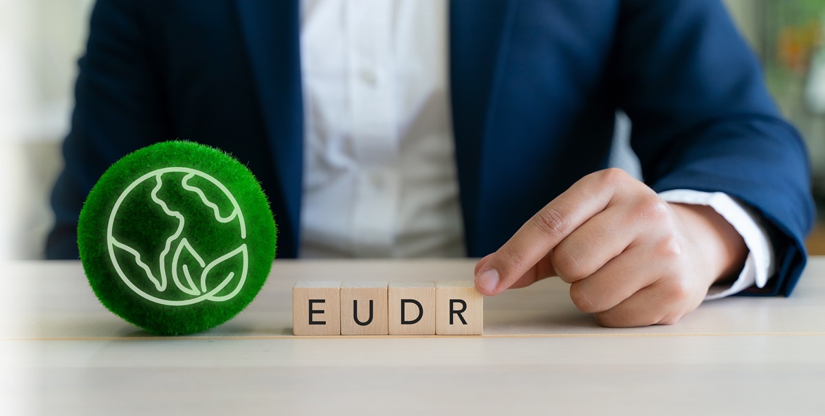 Od 30 grudnia 2025 r. duże i średnie firmy będą musiały udowodnić, iż nie przyczyniają się do wylesiania. Nowe przepisy i obowiązki z rozporządzenia EUDR