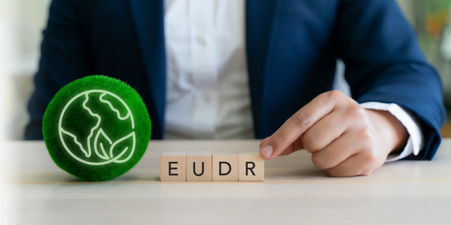 Od 30 grudnia 2025 r. duże i średnie firmy będą musiały udowodnić, że nie przyczyniają się do wylesiania. Nowe przepisy i obowiązki z rozporządzenia EUDR