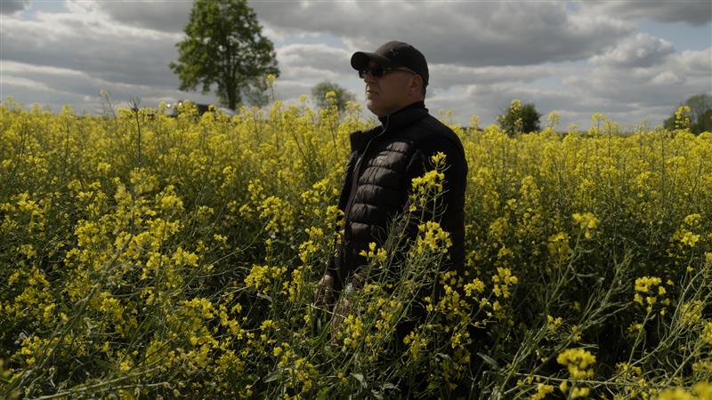 Ponad połowa rzepaku pozyskiwanego przez PepsiCo w Polsce pochodzi z upraw prowadzonych w sposób zrównoważony – wspólna misja PepsiCo i związanych z firmą rolników