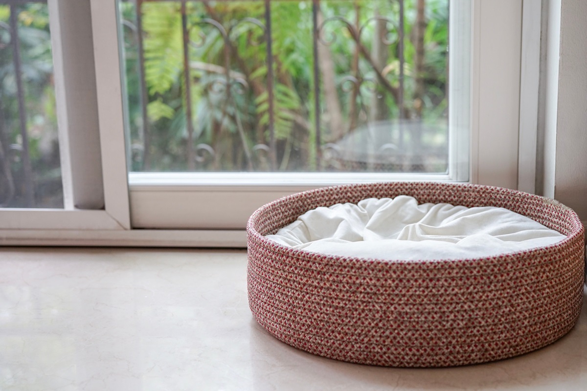 Jakich zwierząt nie wolno hodować?