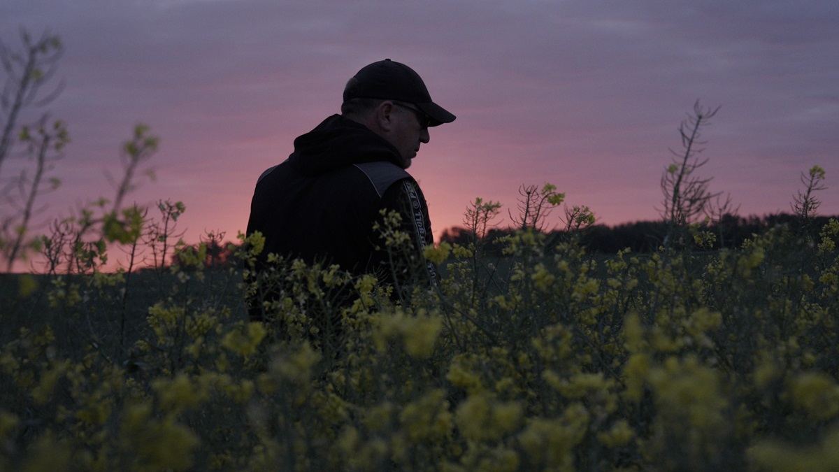 Ponad połowa rzepaku pozyskiwanego przez PepsiCo w Polsce pochodzi z upraw prowadzonych w sposób zrównoważony – wspólna misja PepsiCo i związanych z firmą rolników