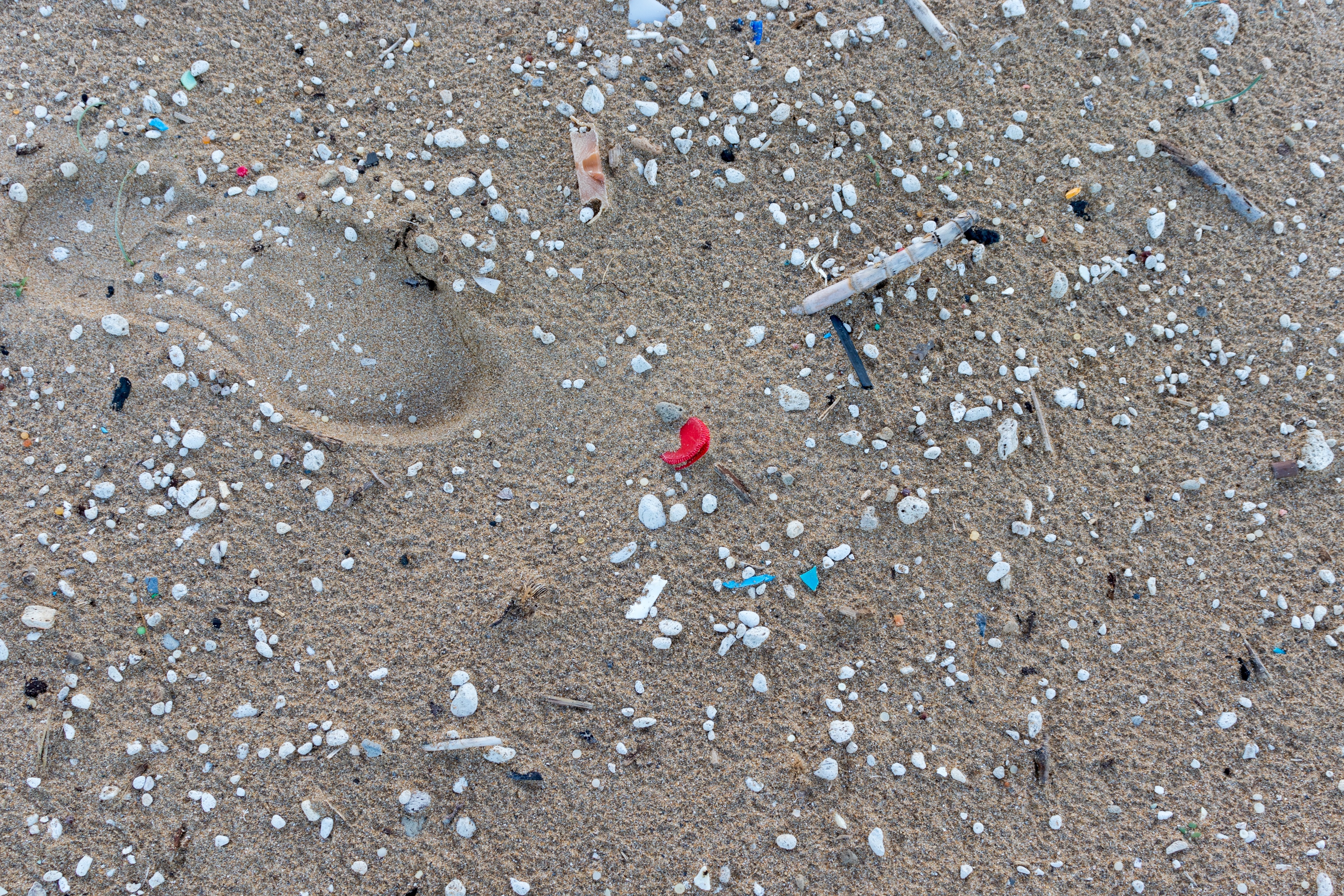 Mikroplastik działa jak magnes na groźne bakterie. Alarmujące wyniki badań