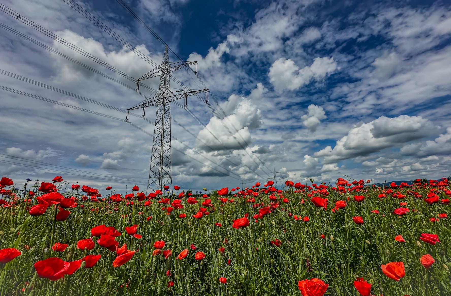 Masz słup na działce? Ten wyrok TK otwiera Ci drogę do pieniędzy za bezumowne korzystanie przez firmę przesyłową. Nie można zasiedzieć służebności gruntowej o treści służebności przesyłu